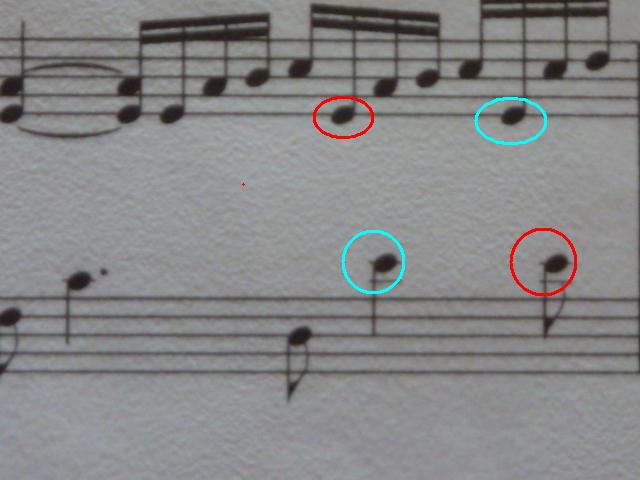 P1030389.JPG