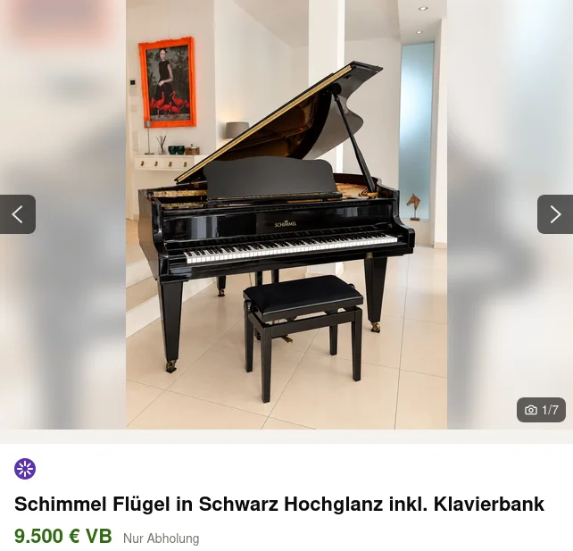 Schimmel.webp
