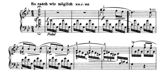 schumann2.png