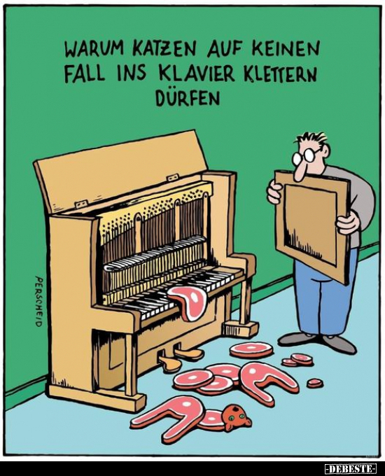 warum Katzen auf keinen Fall ins Klavier.jpg