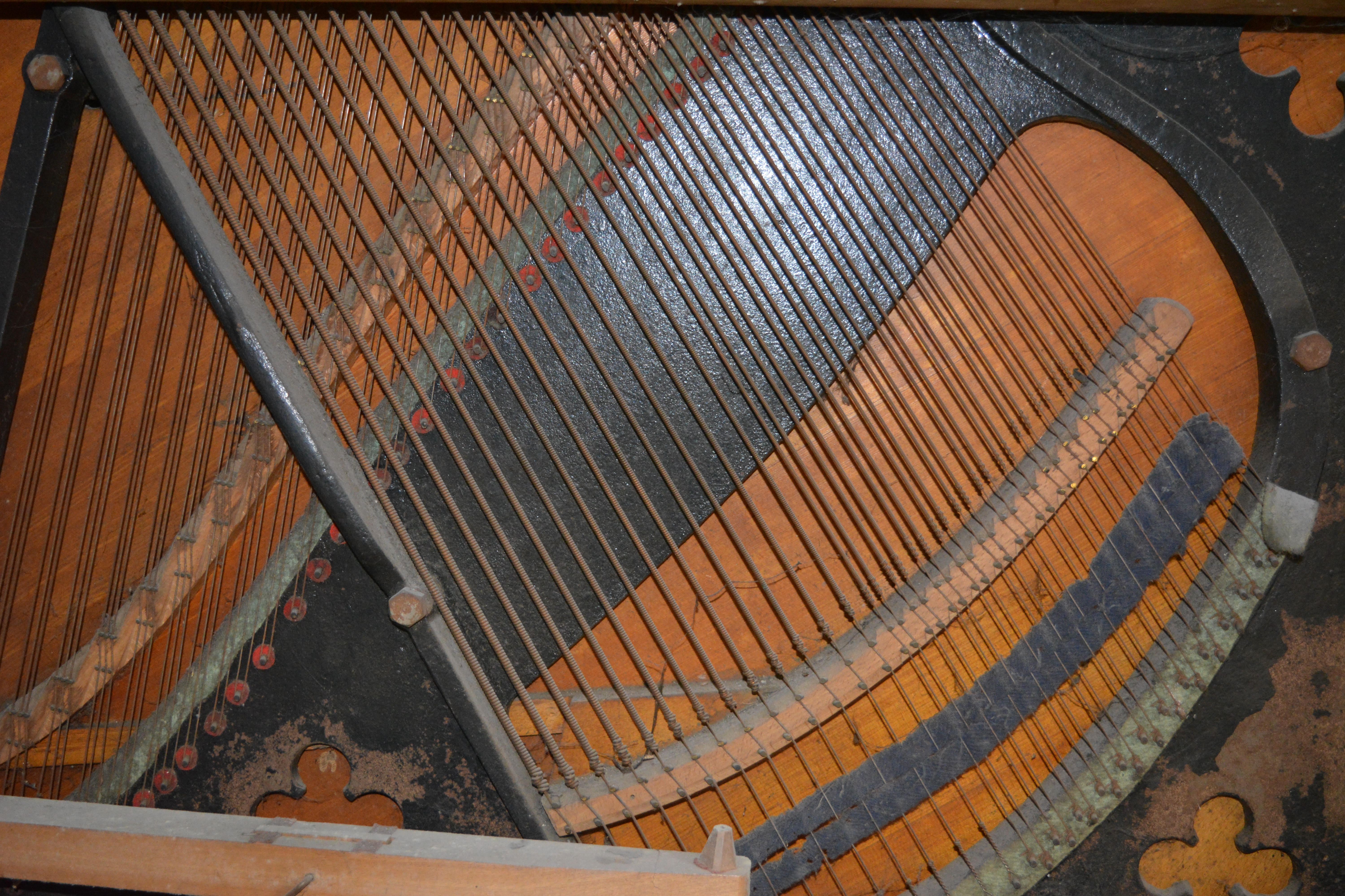 dsc_0013cisuz.jpg
