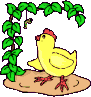 animiertes-huhn-bild-0105.gif