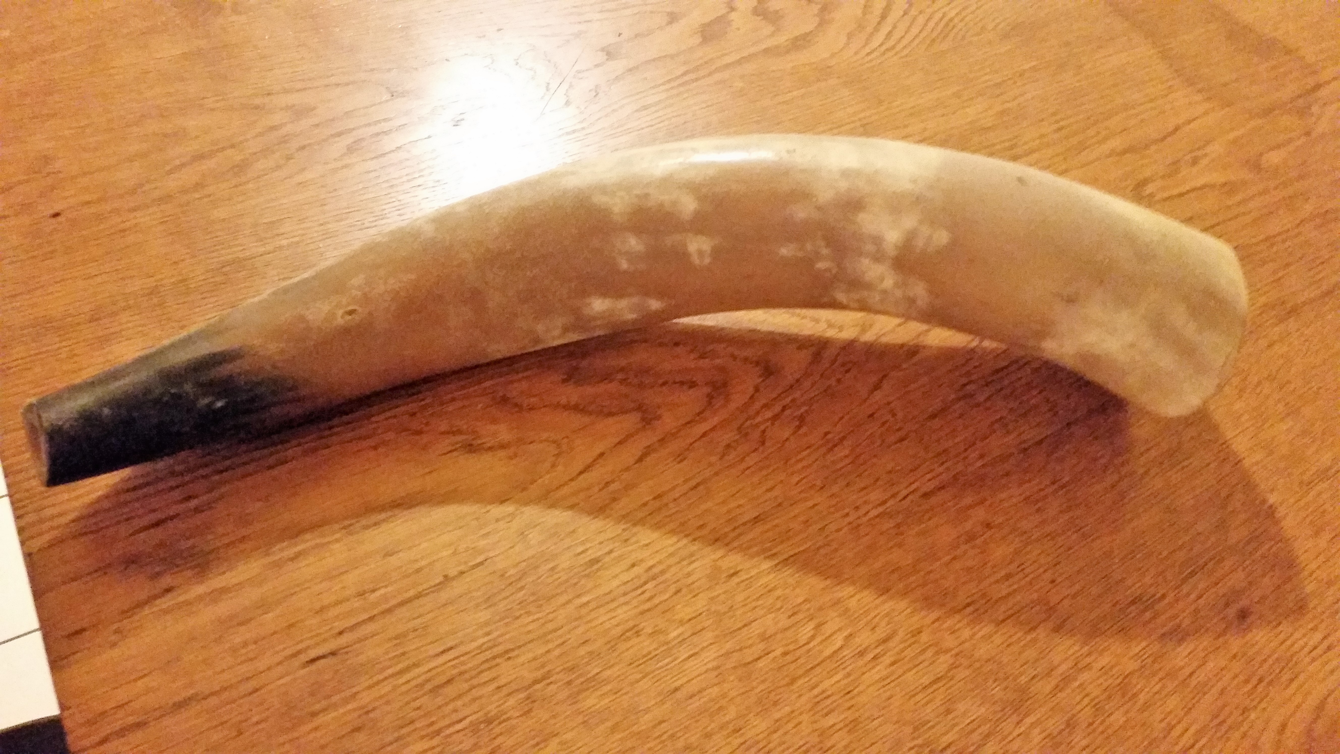horn.jpg