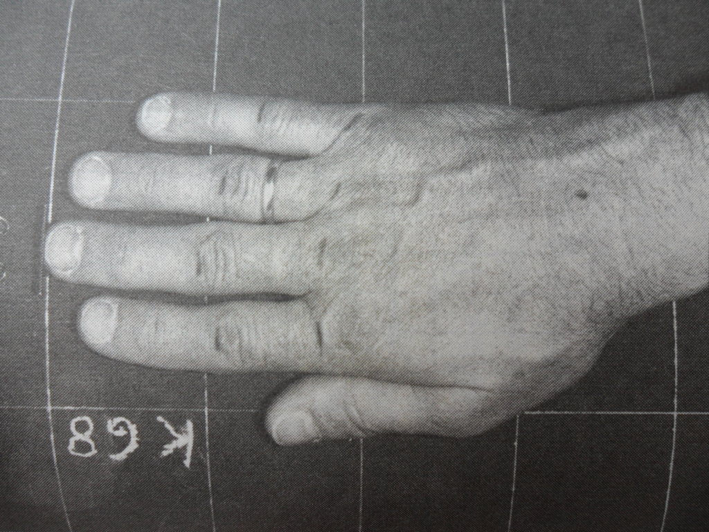 2vmwrh62.jpg