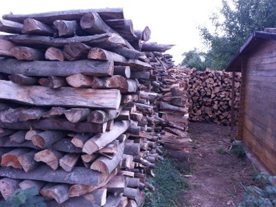 201318_Holz_1.jpg
