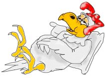animiertes-huhn-bild-0037.gif