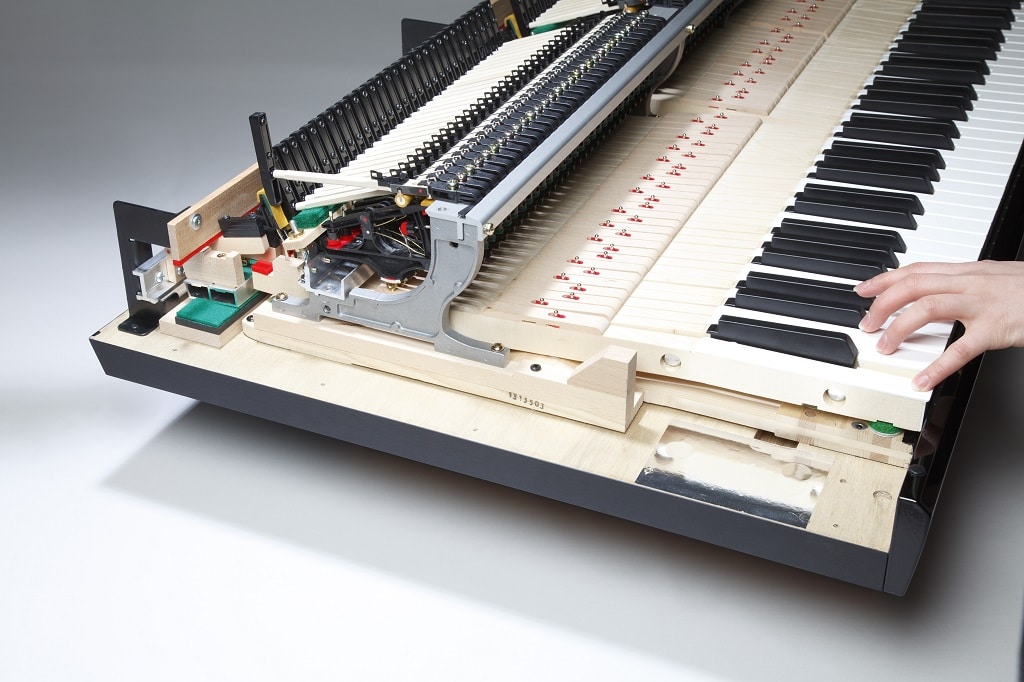 Kawai-Novus-NV10_MG_4844.jpg