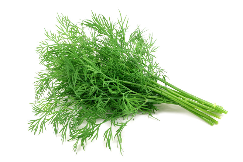 dill.jpg