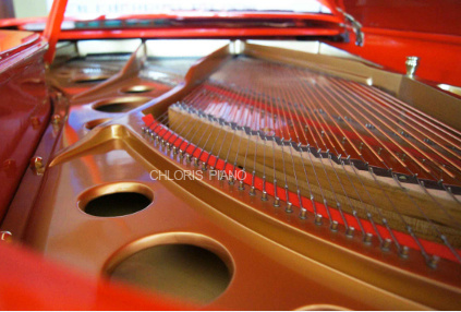 Customized-Car-Piano-HG-C1-.jpg